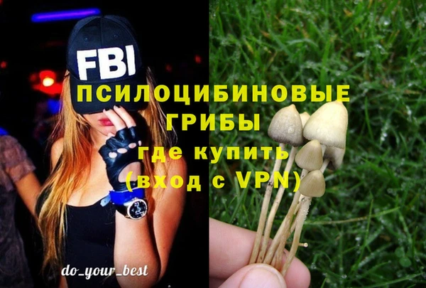 apvp Дмитриев