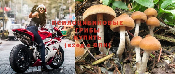 PSILOCYBIN Горно-Алтайск