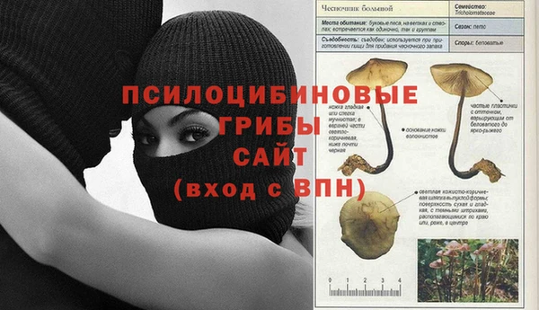 марки lsd Горняк