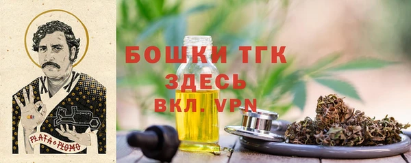 PSILOCYBIN Горно-Алтайск